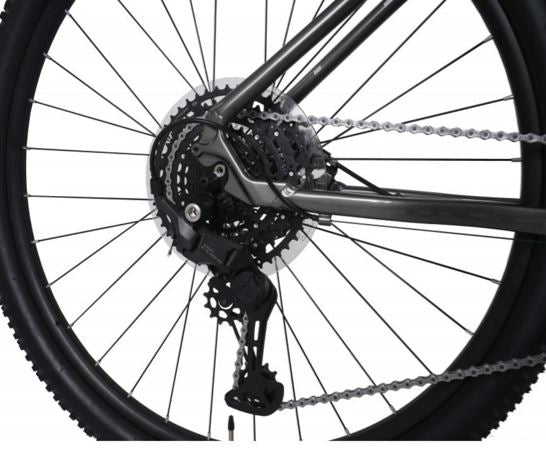 CB Alpina 2.0 Large (19")