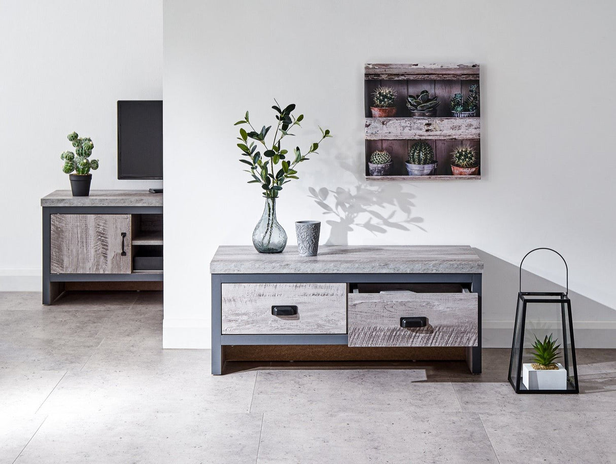 Baxter 2 Drawer Coffee Table-Grey