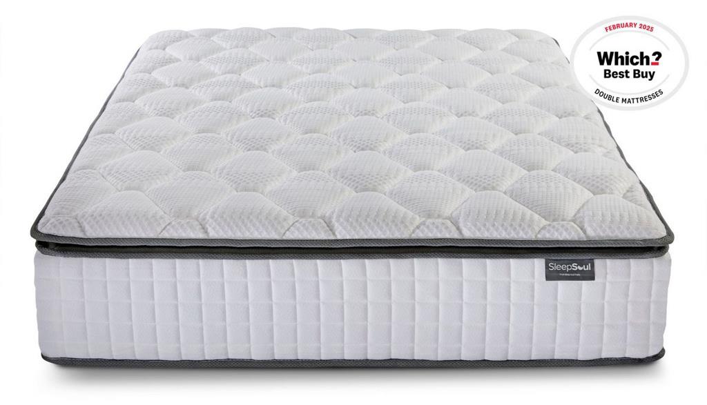 Roll Up Bliss 800 Pocket Memory Pillow Top Mattress (32cm Depth) - Double