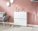 Slim High Gloss 2 Tier Shoe Cabinet-White