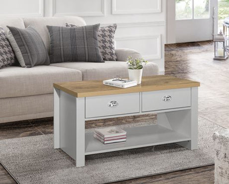 Harper 2 Drawer Coffee Table-Grey