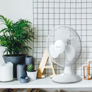 Igenix 12" Desk Fan White