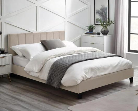Rosa Velvet Bed in a Box Cream - King