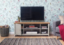Lachlan Large TV Unit