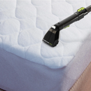 Daewoo Hurricane 650W 1.4L Spot Washer