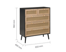 Catalina 5 Drawer Rattan Chest- Black