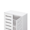 Euston 2 Door Shoe Cabinet - White