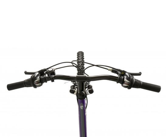 Falcon Siren 24"