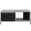 Dexter Coffee Table with 2 Doors