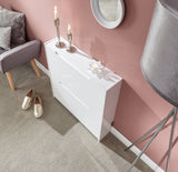 Slim High Gloss 2 Tier Shoe Cabinet-White