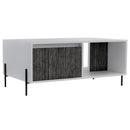 Dexter Coffee Table with 2 Doors