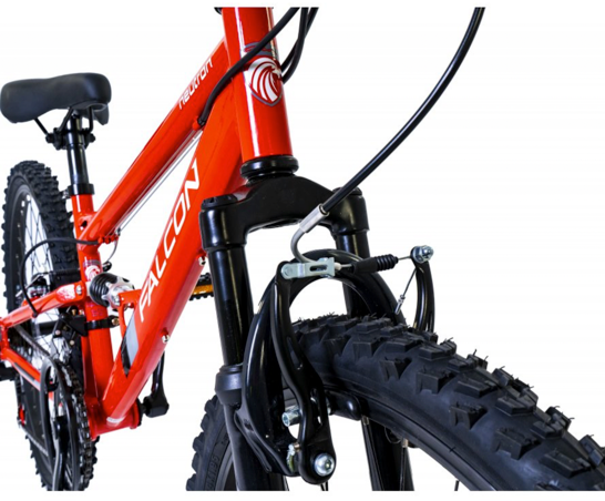 Falcon Neutron 24"